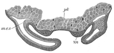 Illustration: Figure 243