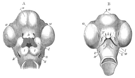 Illustration: Figure 311