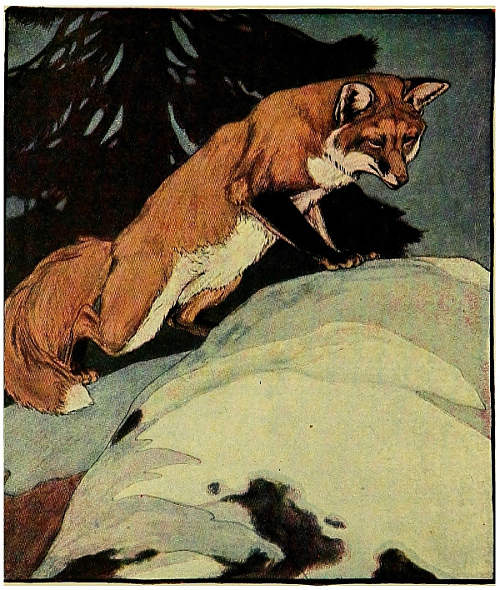 &ldquo;Red Fox, meanwhile, had been watching the whole scene from that safe little ledge of rock.&rdquo; (See page 168)
