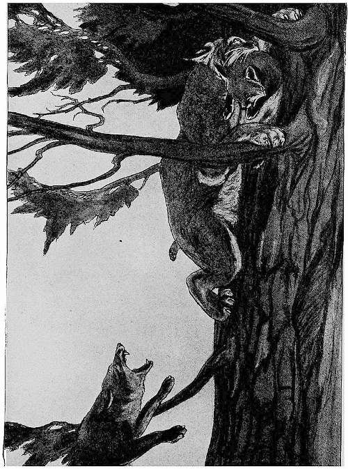 &ldquo;HE RAN UP THE NEAREST TREE.&rdquo;