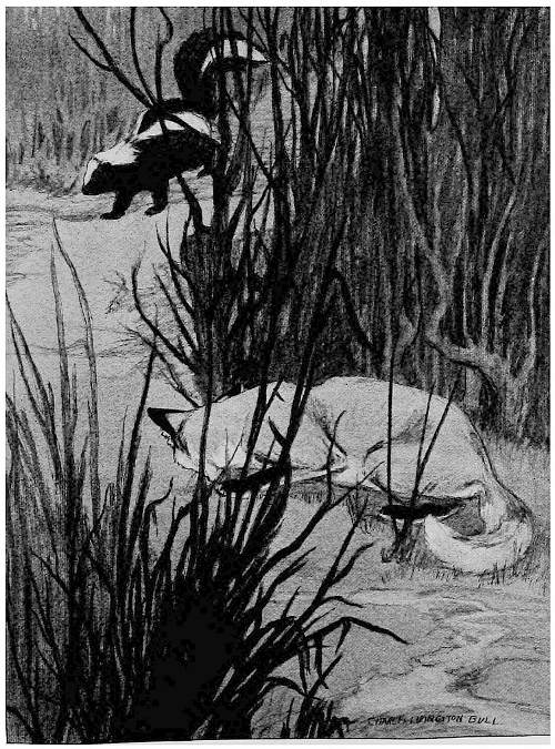 &ldquo;HE CROUCHED, TENSE WITH ANTICIPATION.&rdquo;