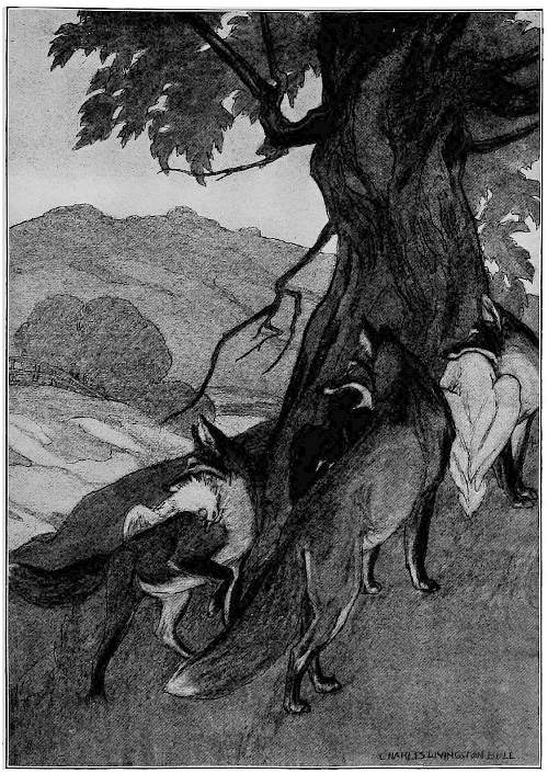 &ldquo;THEY ALL THREE TURNED AND GLANCED BACK.&rdquo;