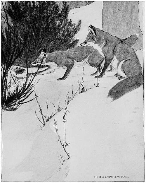 &ldquo;SHE REVEALED A SMALL, DARK, MENACING THING.&rdquo;