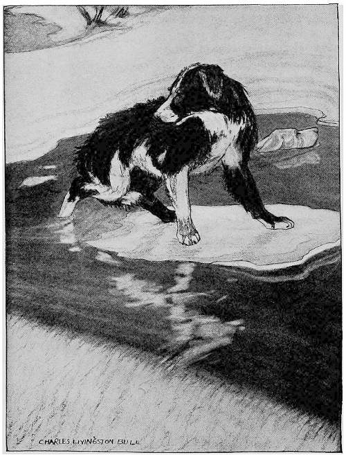 &ldquo;IT SLIPPED SWIFTLY OFF WITH ITS EXHAUSTED PASSENGER.&rdquo;