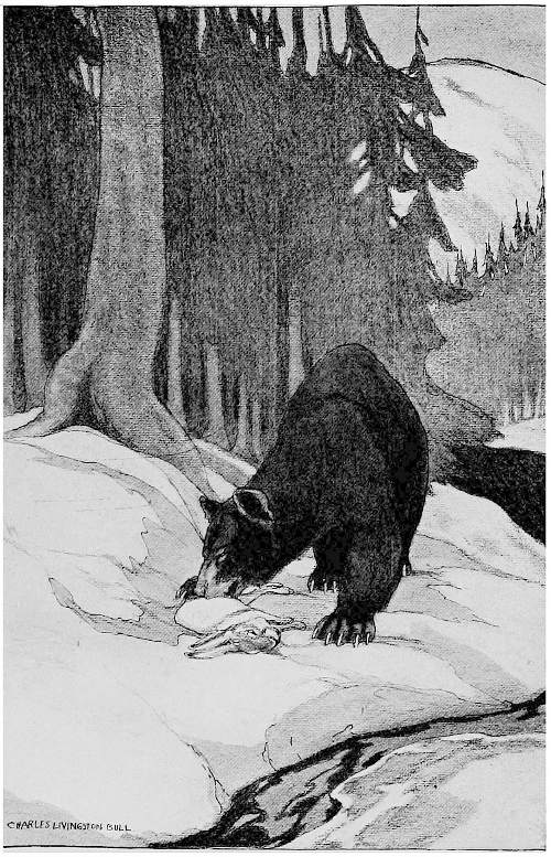 &ldquo;HELPED HIMSELF TO THE RABBIT.&rdquo;