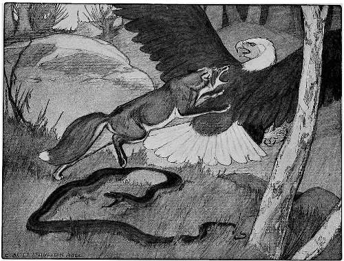 &ldquo;IN AN INSTANT RED FOX WAS UPON HIM AGAIN.&rdquo;