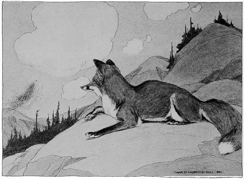 &ldquo;NEARER AND NEARER CAME THE WHIRLING CLOUD.&rdquo;