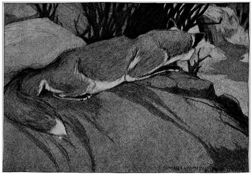 &ldquo;SETTLED HIMSELF DOWN BY THE HOLE TO WATCH FOR THE WOODCHUCK TO COME OUT.&rdquo;