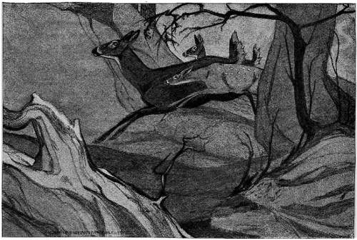 &ldquo;A DOE AND TWO FAWNS . . . WENT BOUNDING PAST.&rdquo;