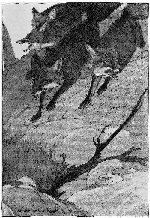 &ldquo;THE DIMINISHED FAMILY SPED ON.&rdquo;