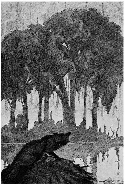 &ldquo;HIMSELF KEPT WATCH WHERE HE COULD SEE EVERYTHING.&rdquo;