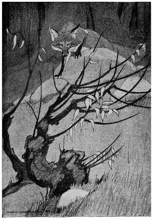 &ldquo;STIFFENING HIMSELF ON THE INSTANT.&rdquo;