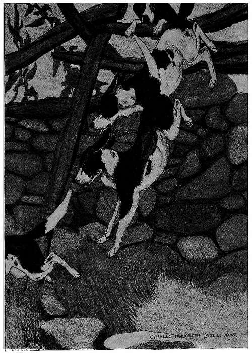 &ldquo;CAME TUMBLING OVER THE WALL INTO THE LANE.&rdquo;