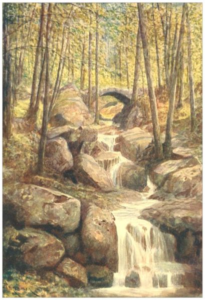 PONT DU PROPHTE, PROMENADE
MEYERBEER, SPA WOODS