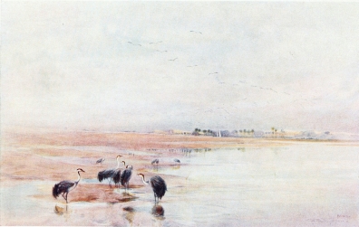 A VIEW ON THE NILE NEAR MINIEH