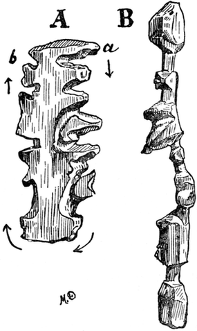 Eskimo Geographical Map