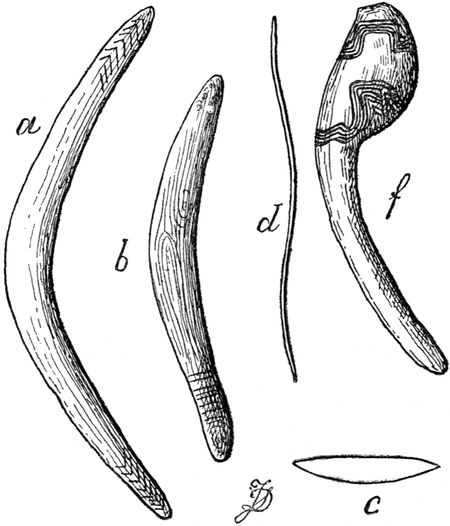 Missile Arms of the Australians