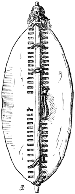 Shield of Zulu-Kafirs