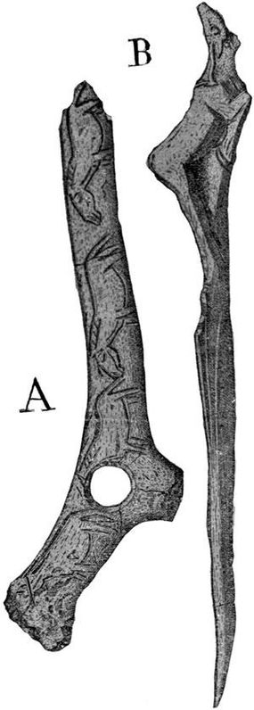 Quaternary Art (Magdalenian Period)