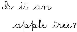 Cursive: Is it an
apple tree?