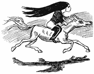 Camilla&rsquo;s vlucht.