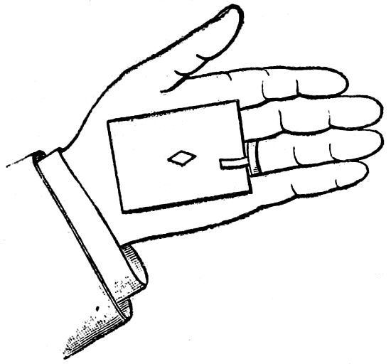 Fig. 28.&mdash;Ring Hold-out.
