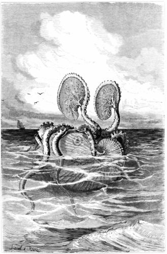 The Project Gutenberg eBook of The Ocean World, by Louis Figuier.