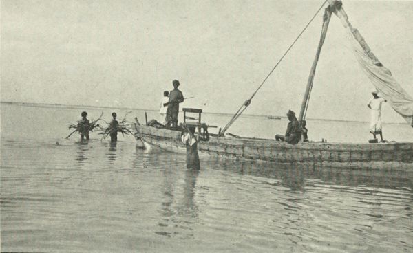 File:2013 03 16 Somalia Fishing h (8571823324).jpg - Wikimedia Commons