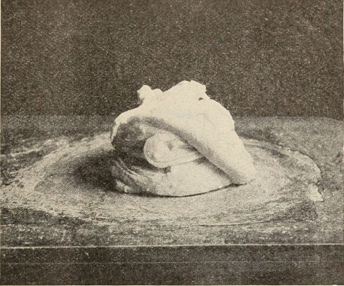 photograph from here on--lump of fondant