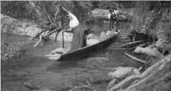 WATERMAN—CANOES
PL. VII
A “SHOVEL-NOSE” CANOE IN ACTION
Scene on the upper waters of Quinault river, coast of Washington.
(Photograph by J. H. Weir, of “The Mountaineers.”)