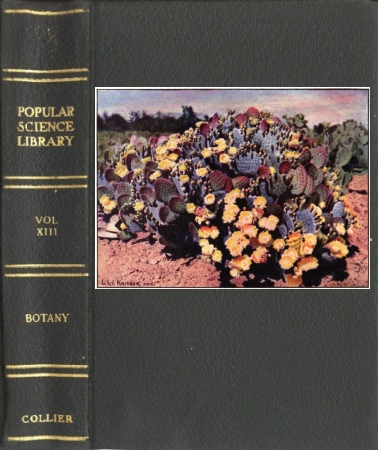 The Project Gutenberg eBook of Botany, by Norman Taylor.