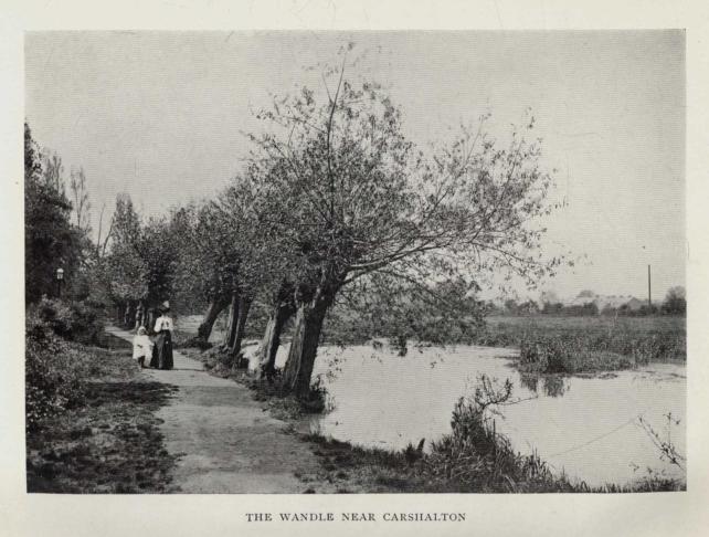 THE WANDLE NEAR CARSHALTON