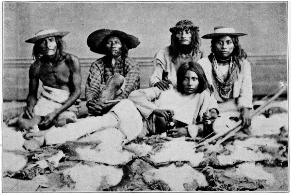 The Seri Indians. (1898 N 17 / 1895 
