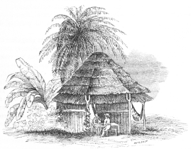 INDIAN HUT IN THE TIERRA CALIENTE.