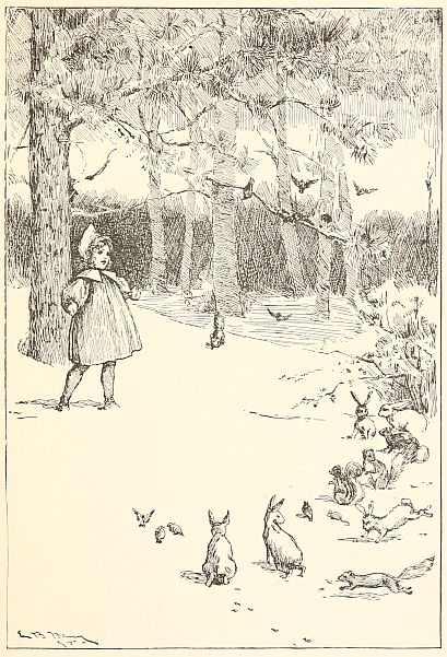 Girl in forest looking at many animals gathered