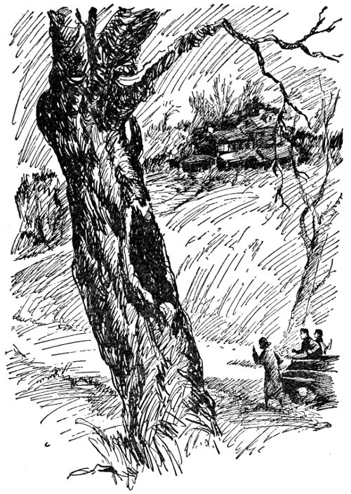 &ldquo;There&rsquo;s a light inside,&rdquo; observed Honey