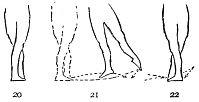 Image not available: 20 21 22

“Glissade.”

The essential gliding feature of the step is indicated in the movement
of the left foot along the floor, figure 21.