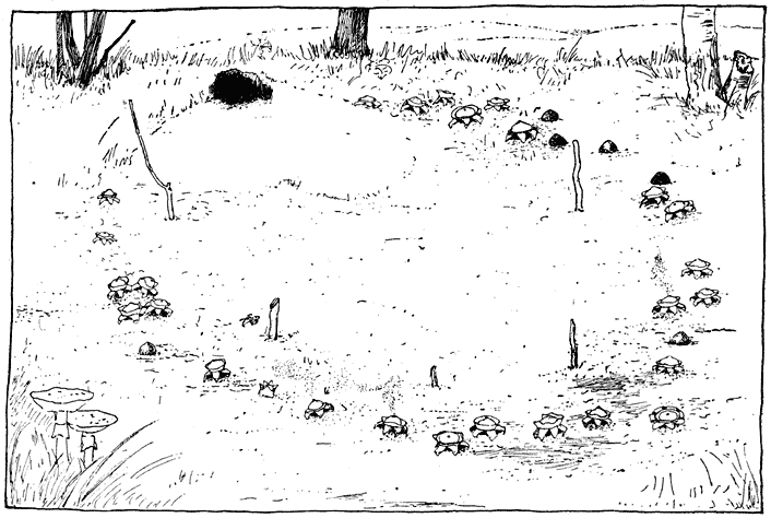 Fig. 5. Heksenkring van Aardsterren (Ge&aacute;ster tr&iacute;plex).