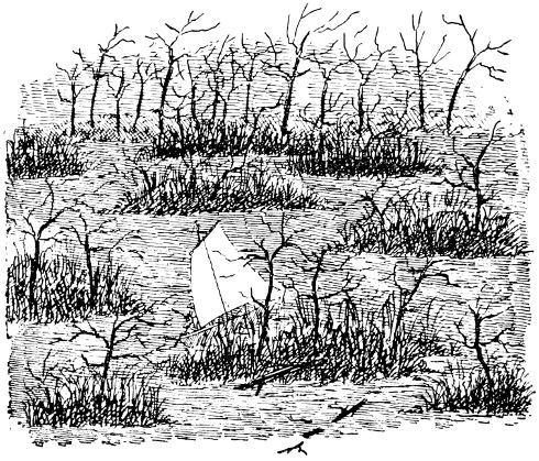 A Dismal Swamp&mdash;Hundreds of Miles of It. Ye Gran Chaco.