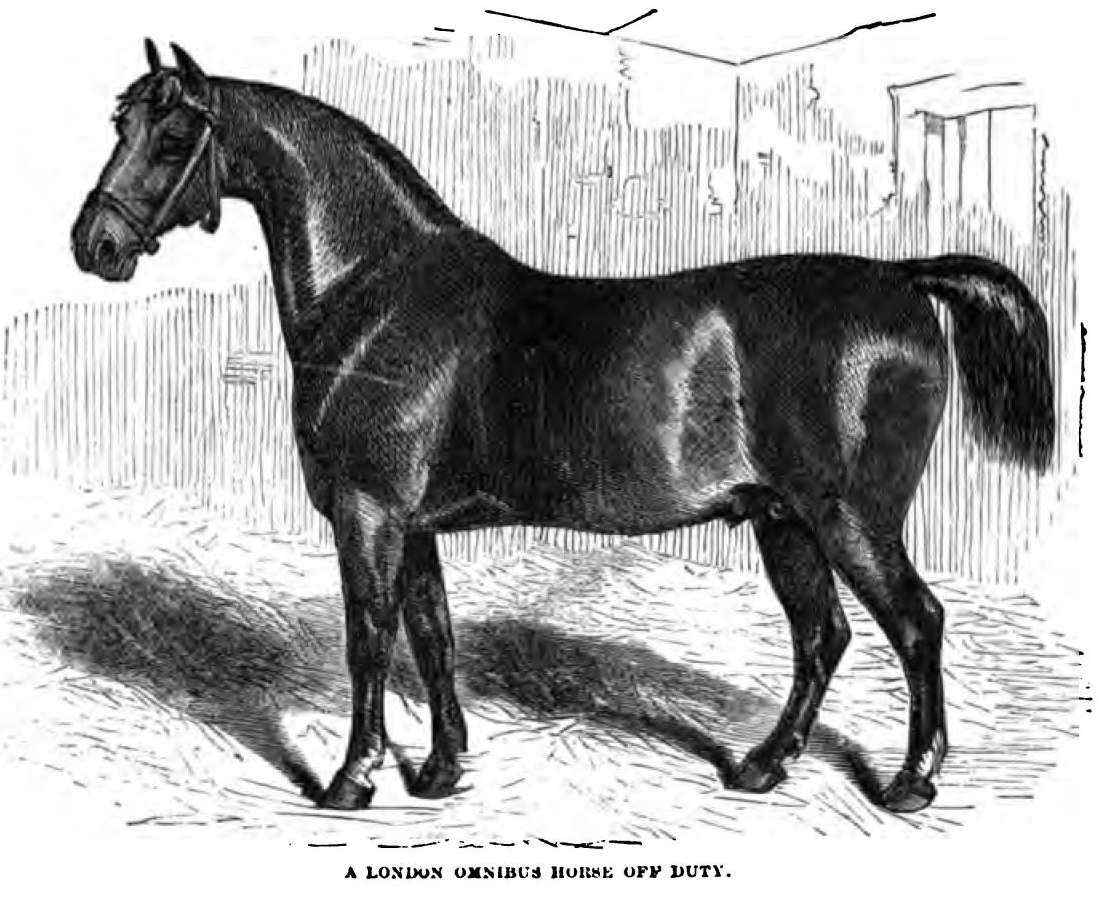 Wooden Horse Discipline - Horse Stories, by Thomas W. Knox