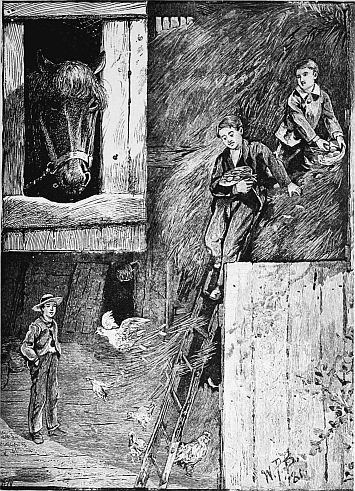 playing in the barn. Horse looks on