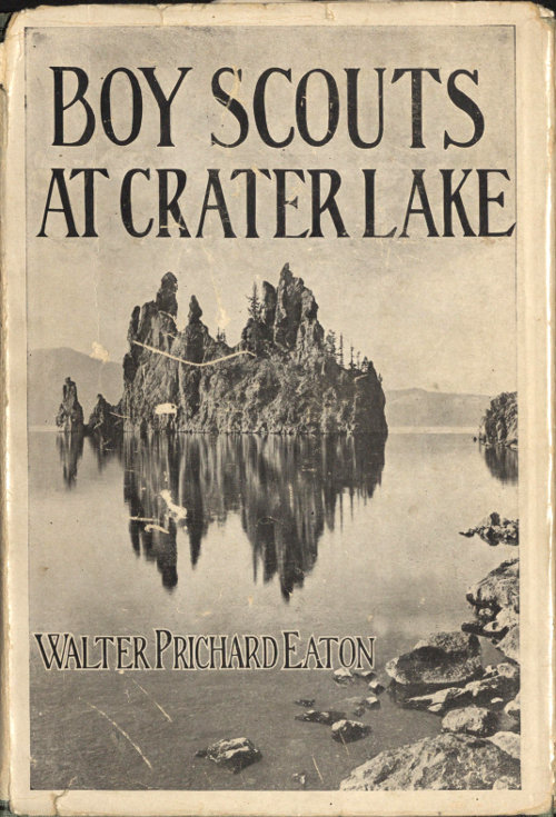 The Project Gutenberg eBook of Through the Crater's Rim, by A