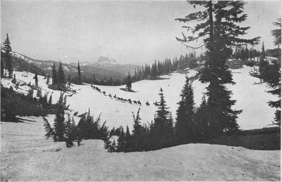 Crossing the Divide near Mount Jefferson on July 25th. Three Fingered Jack in the Distance.