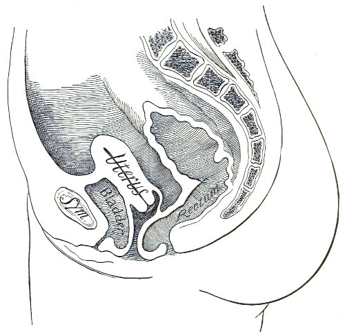 female body with nipples diverging to the side - in doodle style