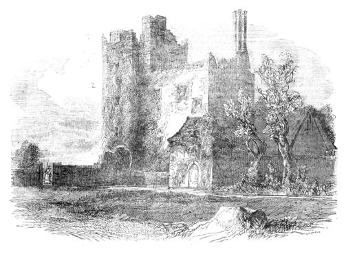 Drimnagh Castle