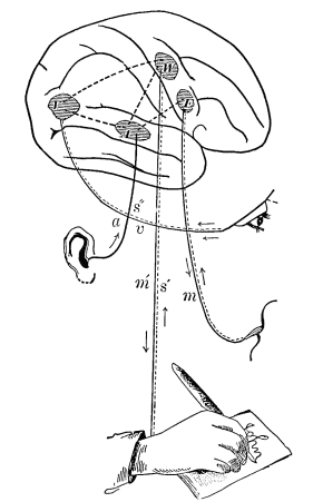 Slot White Teacher Comic Porn - The Project Gutenberg eBook of Psychology, by William James.