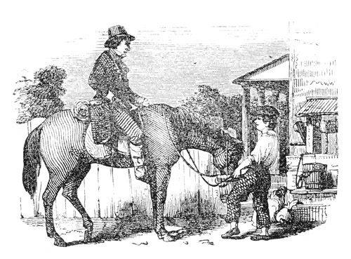 Illustration: Horse and rider