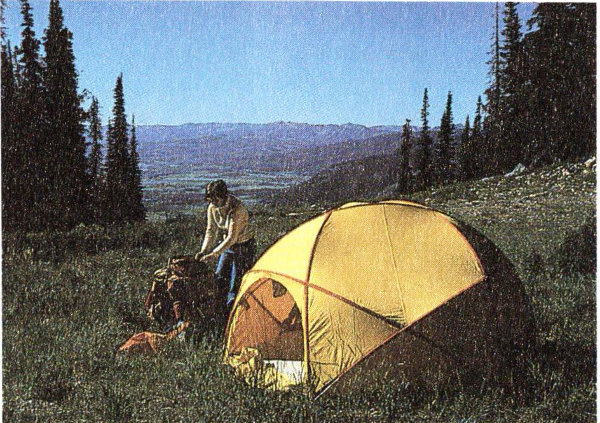 Tent.