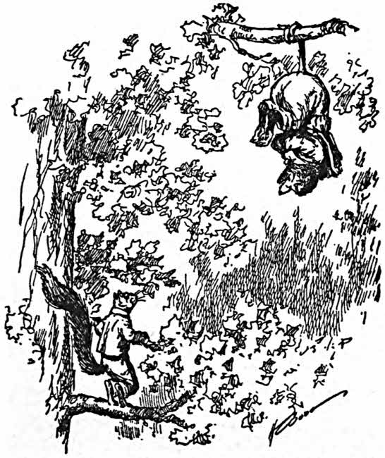 The Project Gutenberg Ebook Of The Squirrel's Pilgrim's Progress, By J 