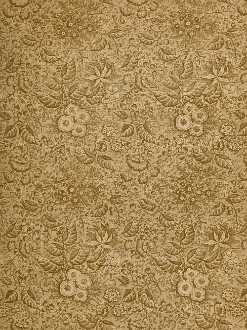 endpaper